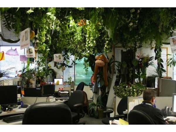 Zappos – Las Vegas