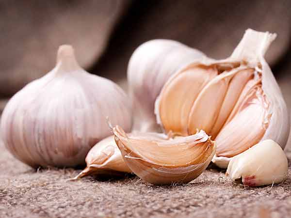 કાચા લસણનું સેવન