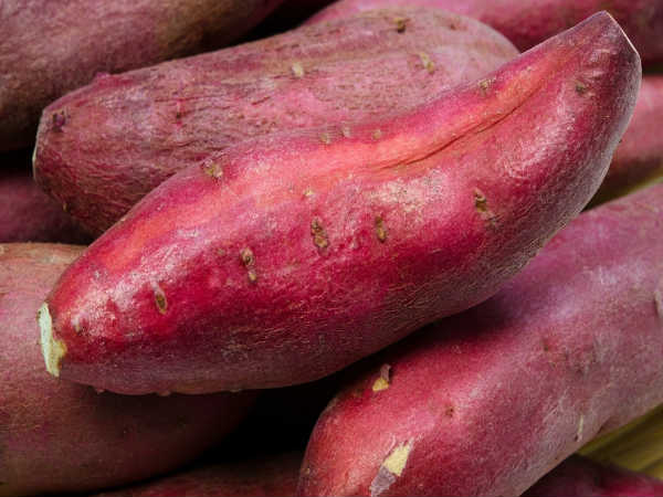 3. શક્કરિયું