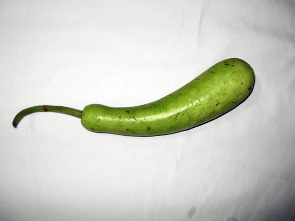 8. દુધી