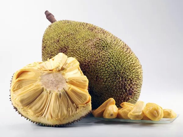 9. કટહલ