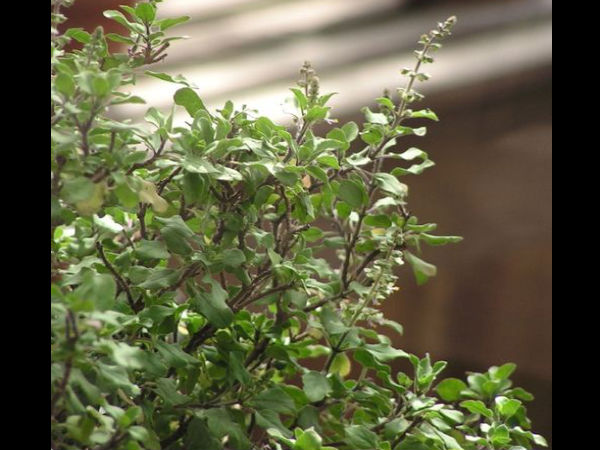 6. એંટી-એજિંગ