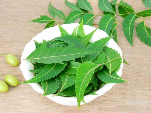 લીમડાંના પાન
