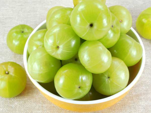 9. આંબળો :