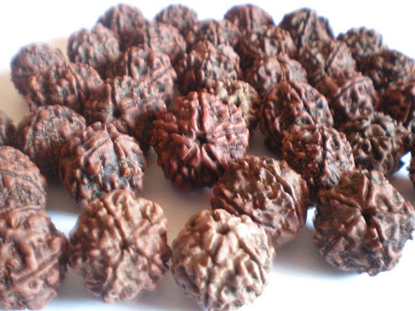 કાલસર્પને કરે છે દૂર