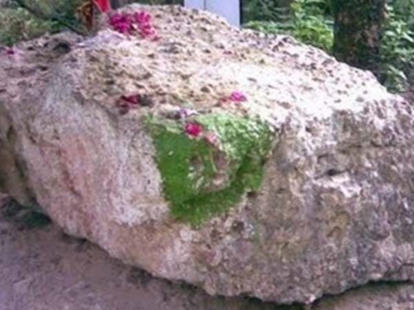 આ પણ છે ચમત્કાર