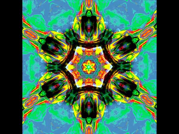 ધનુ :