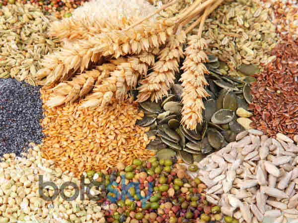 દરેક પ્રકારના અનાજ