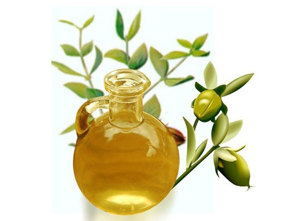 4. જોજોબા મહત્વનું તેલ
