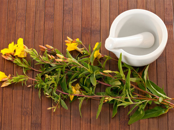7. સાંજે Primrose તેલ