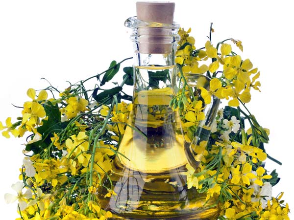 8. તે એક ભૂખ ઉત્તેજક છે