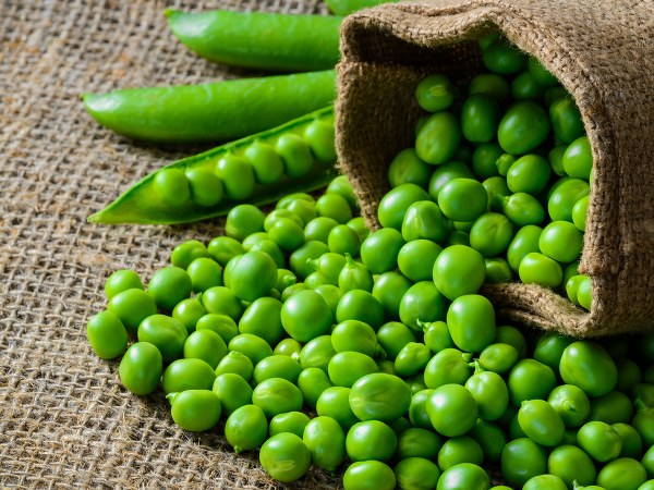 અનિવાર્ય સંસ્કરણ ખાંડ અને carbs માં ઓછી છે