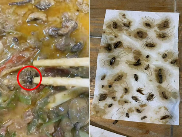 મહિલાએ ફૂડ ને ઓનલાઇન મઁગાવ્યું હતું